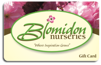 BishopsCellar